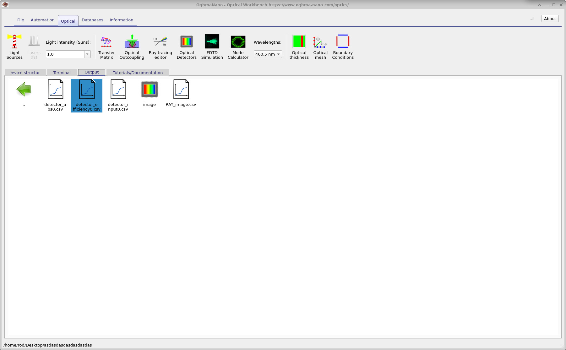 Contents of the detector0 output folder, including RAY_image and efficiency files.