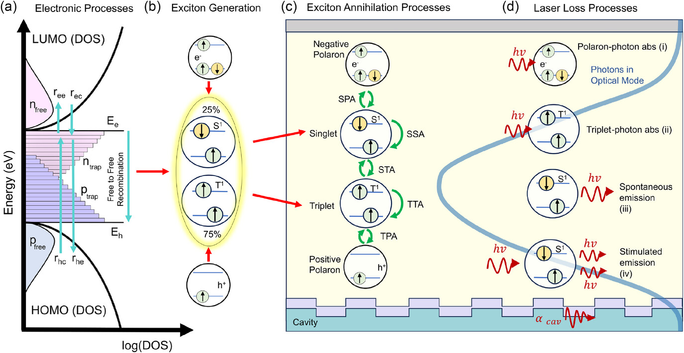 Schematic diagram of electronic, exciton generation, annihilation, and laser loss processes in an electrically pumped organic laser diode