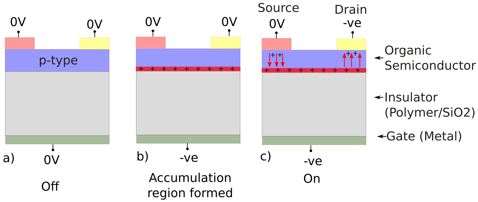 Three-panel diagram of a p-type OFET showing: (left) off at 0 V; (middle) hole accumulation channel formed by negative gate bias; (right) negative drain bias driving hole current along the channel.